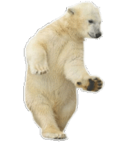 большой танцующий медведь на сайт